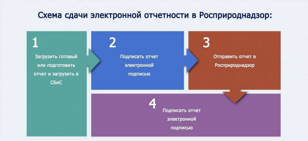 Отчет о пэк в росприроднадзор образец